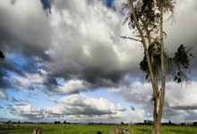 2013年亚冠联赛为什么被称为经典赛事？